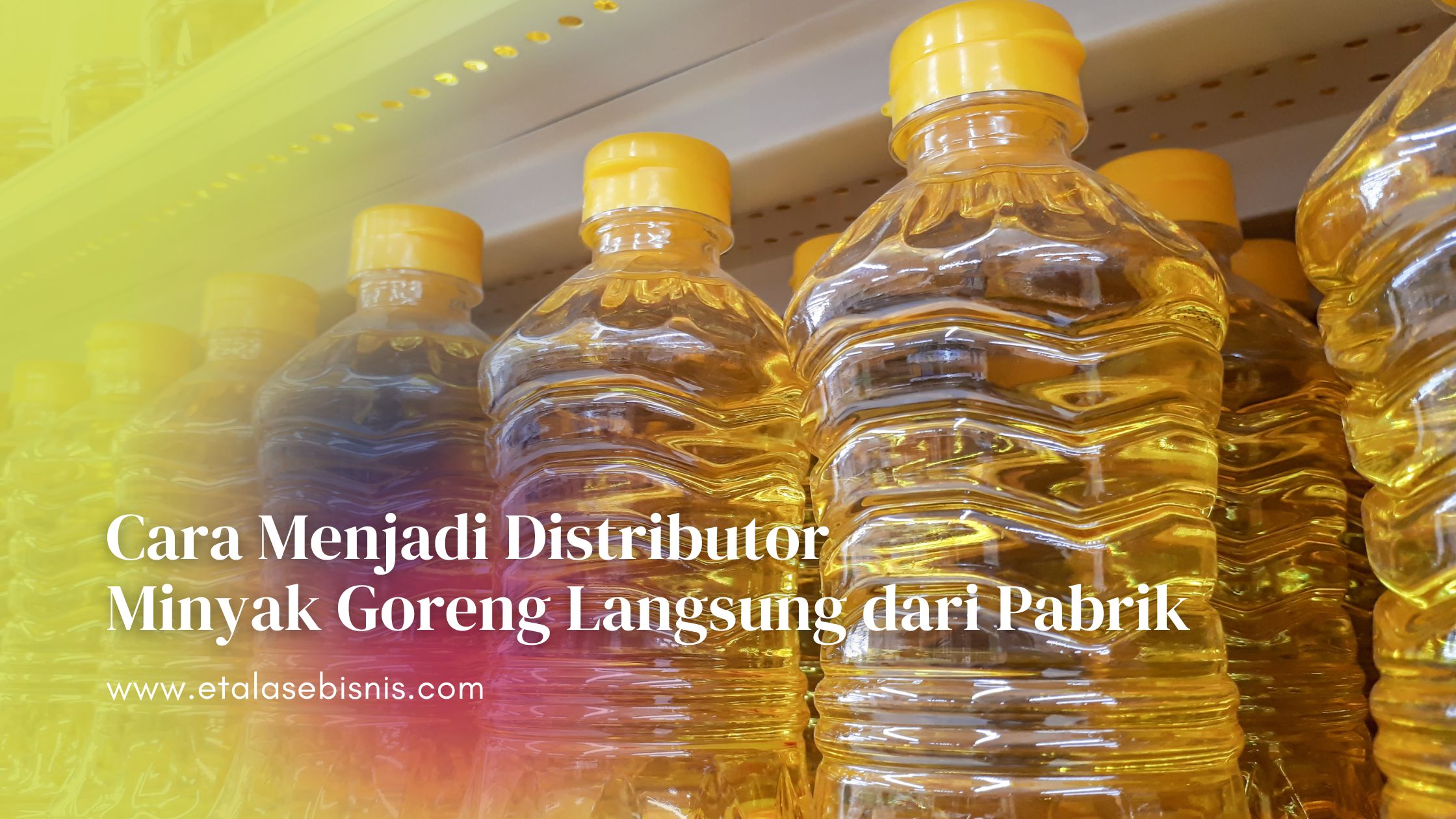 Menjadi Distributor Minyak Goreng